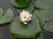 DSCN5774